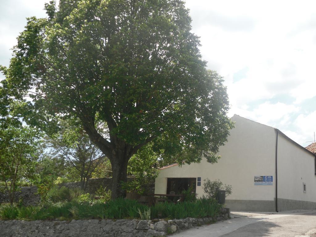 Apartment Pod Lipom Roč Εξωτερικό φωτογραφία