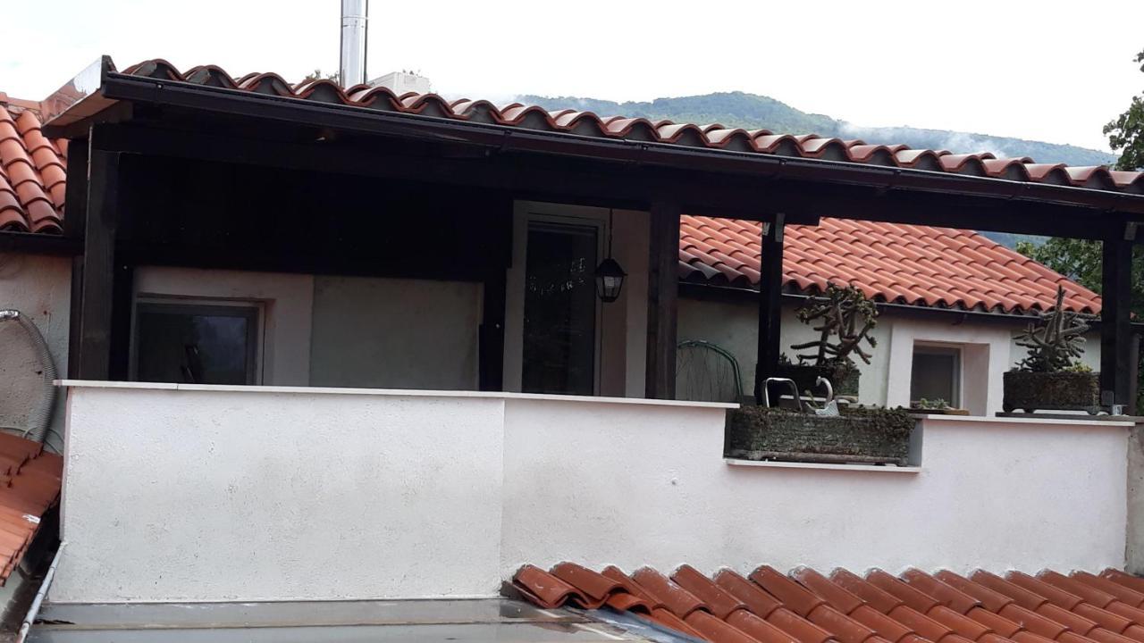 Apartment Pod Lipom Roč Εξωτερικό φωτογραφία